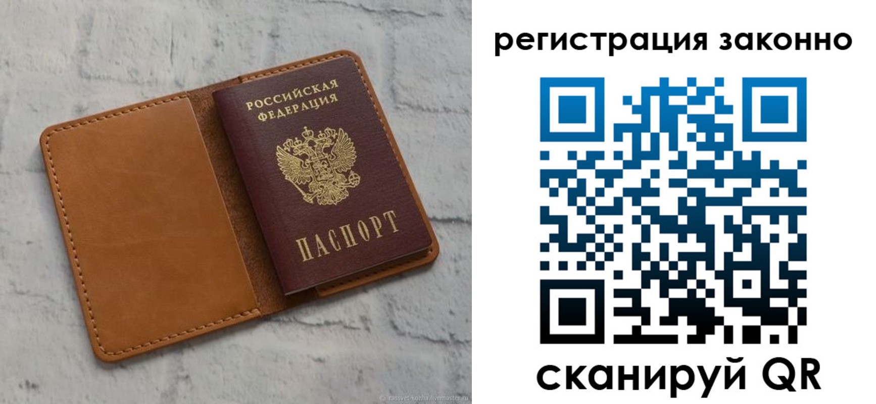 где прописаться в Светлограде
